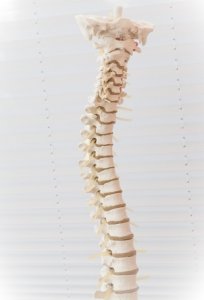 spine chiropractic care